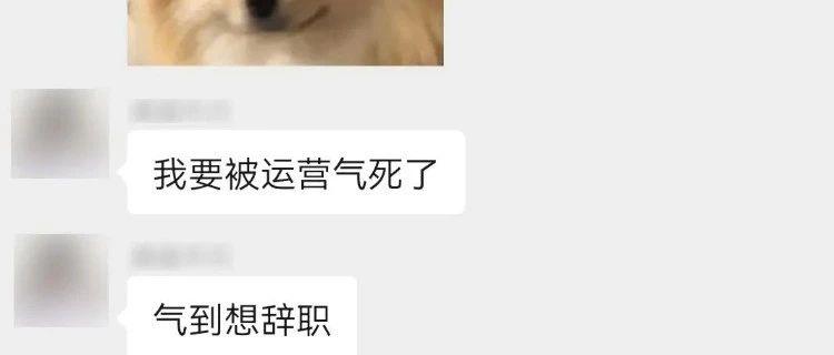 运营VS美工：吵又吵不过，凶又不敢凶，拿什么来拯救这段关系？