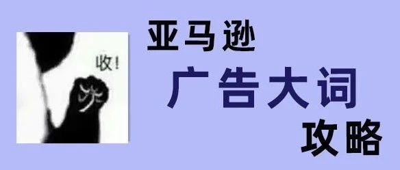 掌握亚马逊流量密码：如何运用大词提升产品曝光？