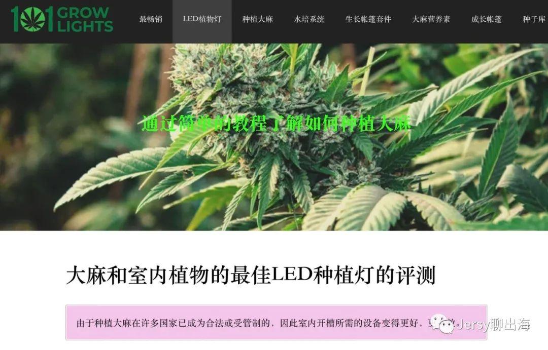 这些独立站大麻操作 骚断了我的腰 Amz5跨境卖家导航