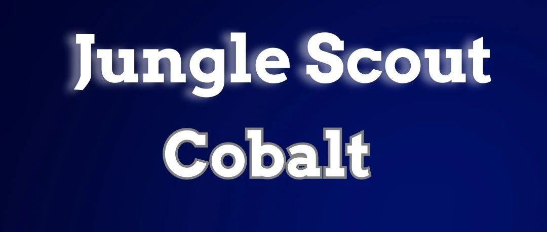 Cobalt：带你全面洞察市场 精准掌握商机