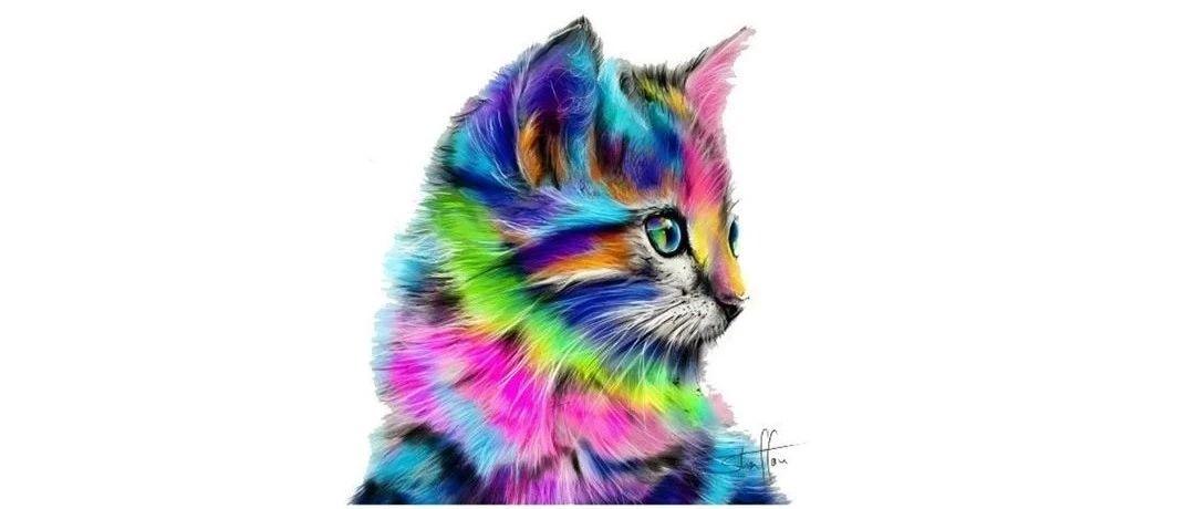 【TRO 24-cv-8058】匿名案件曝光！Rainbow Cat 彩虹猫版权发案，这张图片立刻下架！