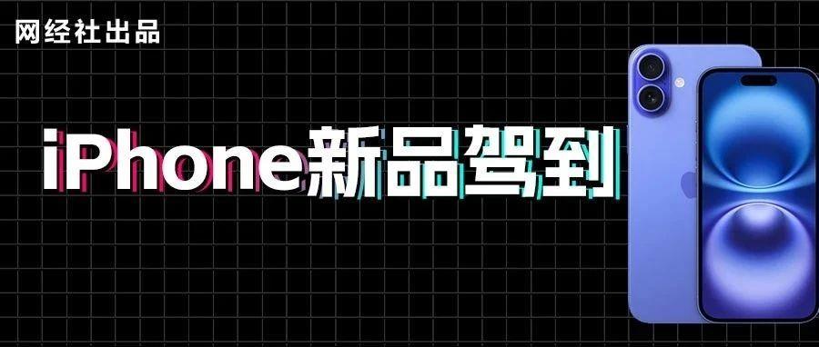 iPhone新宠降临！“猫狗拼抖快狮美”开启“果粉”争夺战