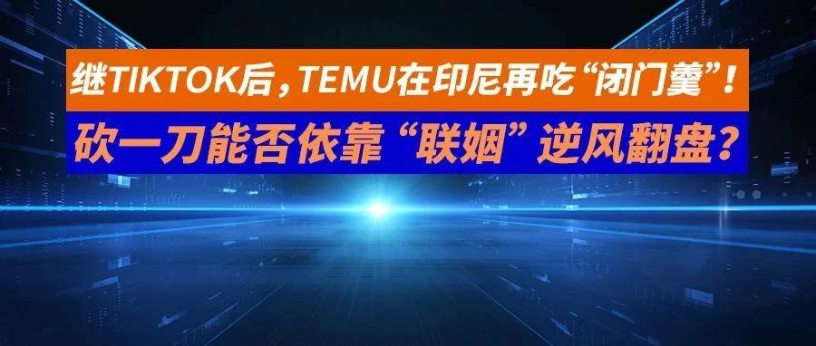 继TikTok后，TEMU在印尼再吃“闭门羹”！砍一刀能否依靠“联姻”逆风翻盘？