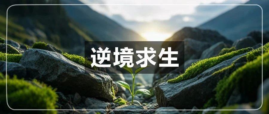 亚马逊旺季流量下滑明显！卖家：平台无作为...