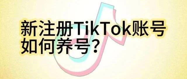 新注册TikTok账号如何养号？